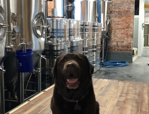 Woody Stops In for a Visit